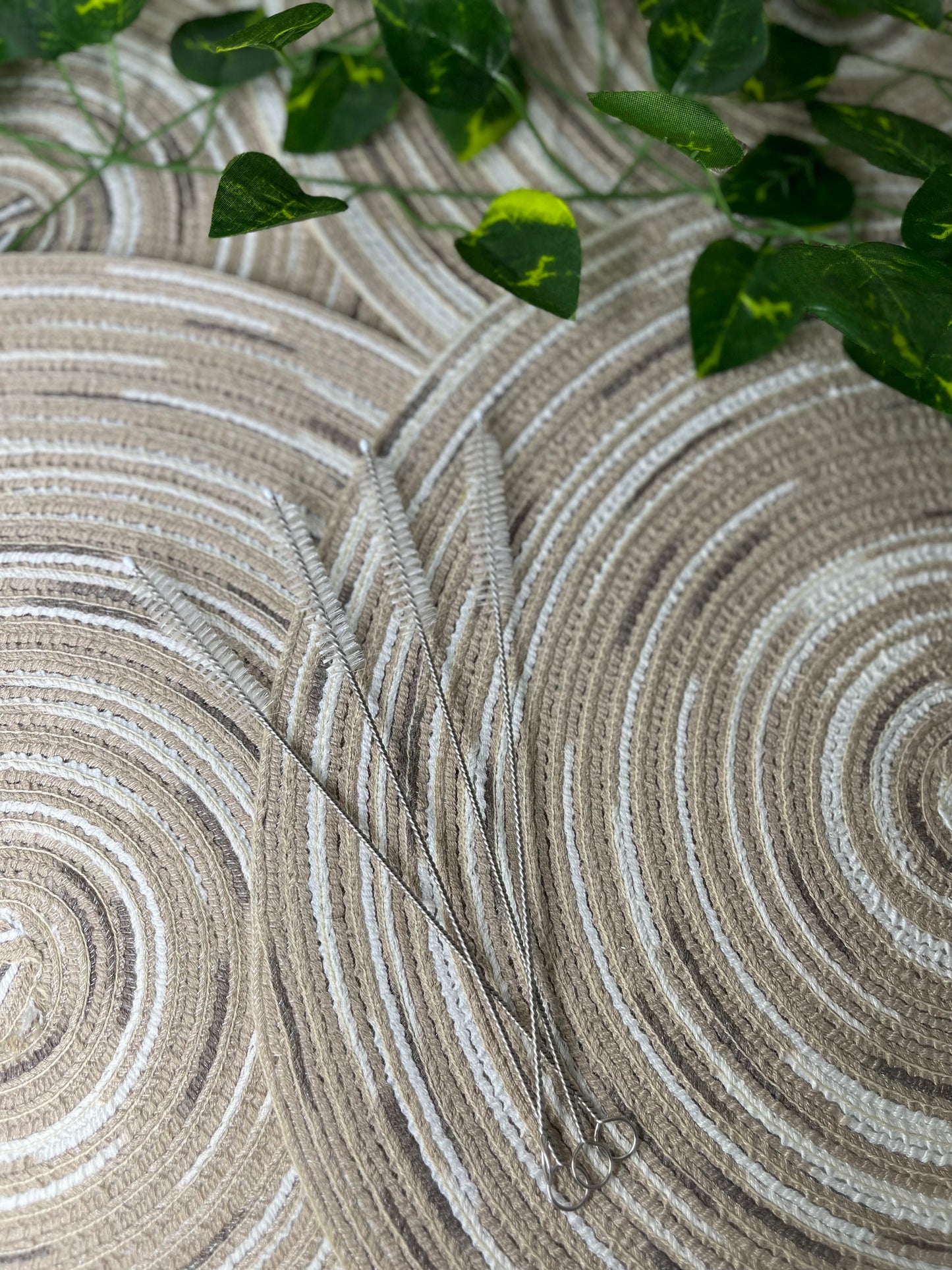 Straw Brush Cleaners